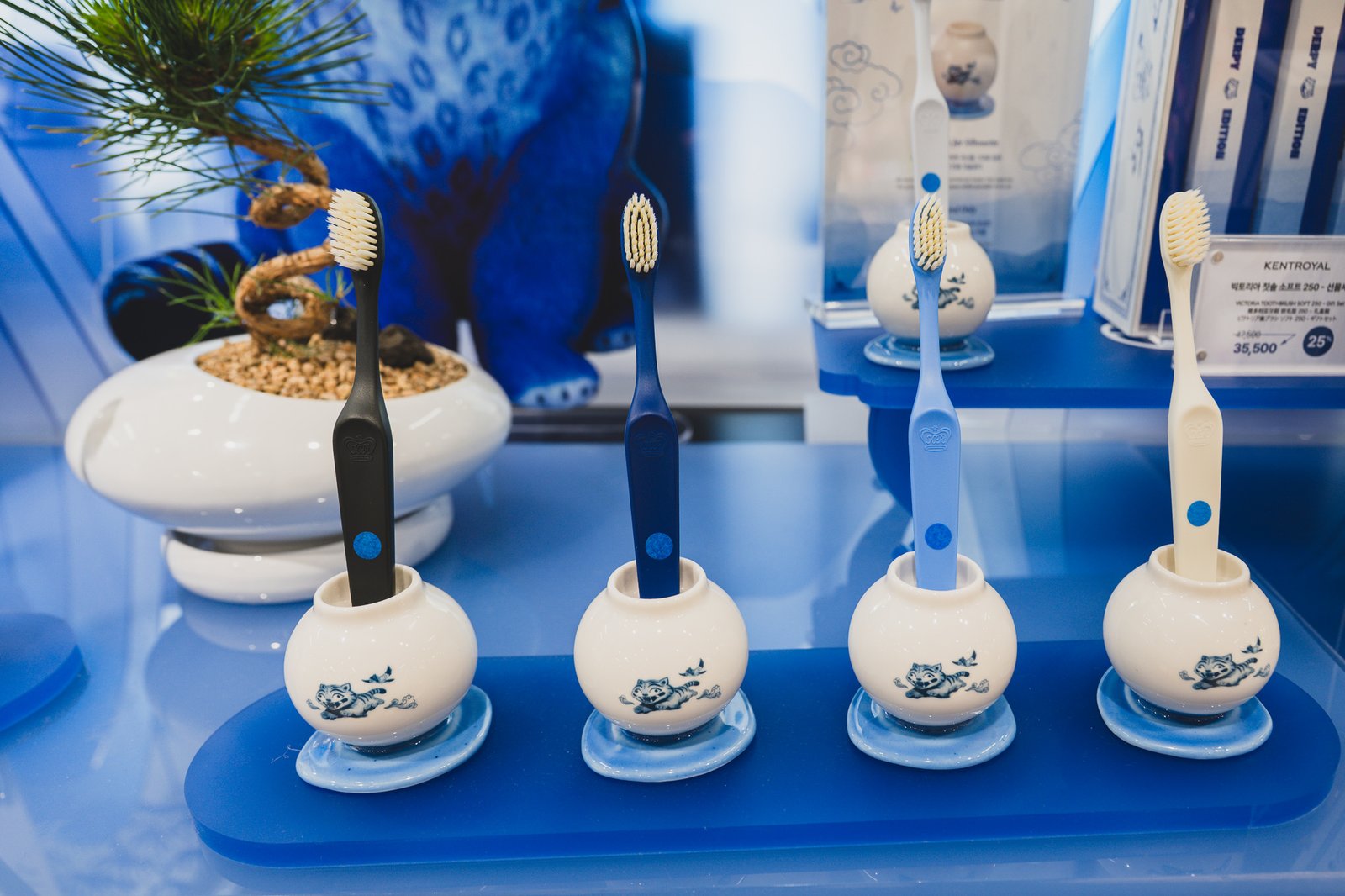 Four moon-jar-shaped toothbrush holders arranged next to a small potted plant, each holding a different colored toothbrush