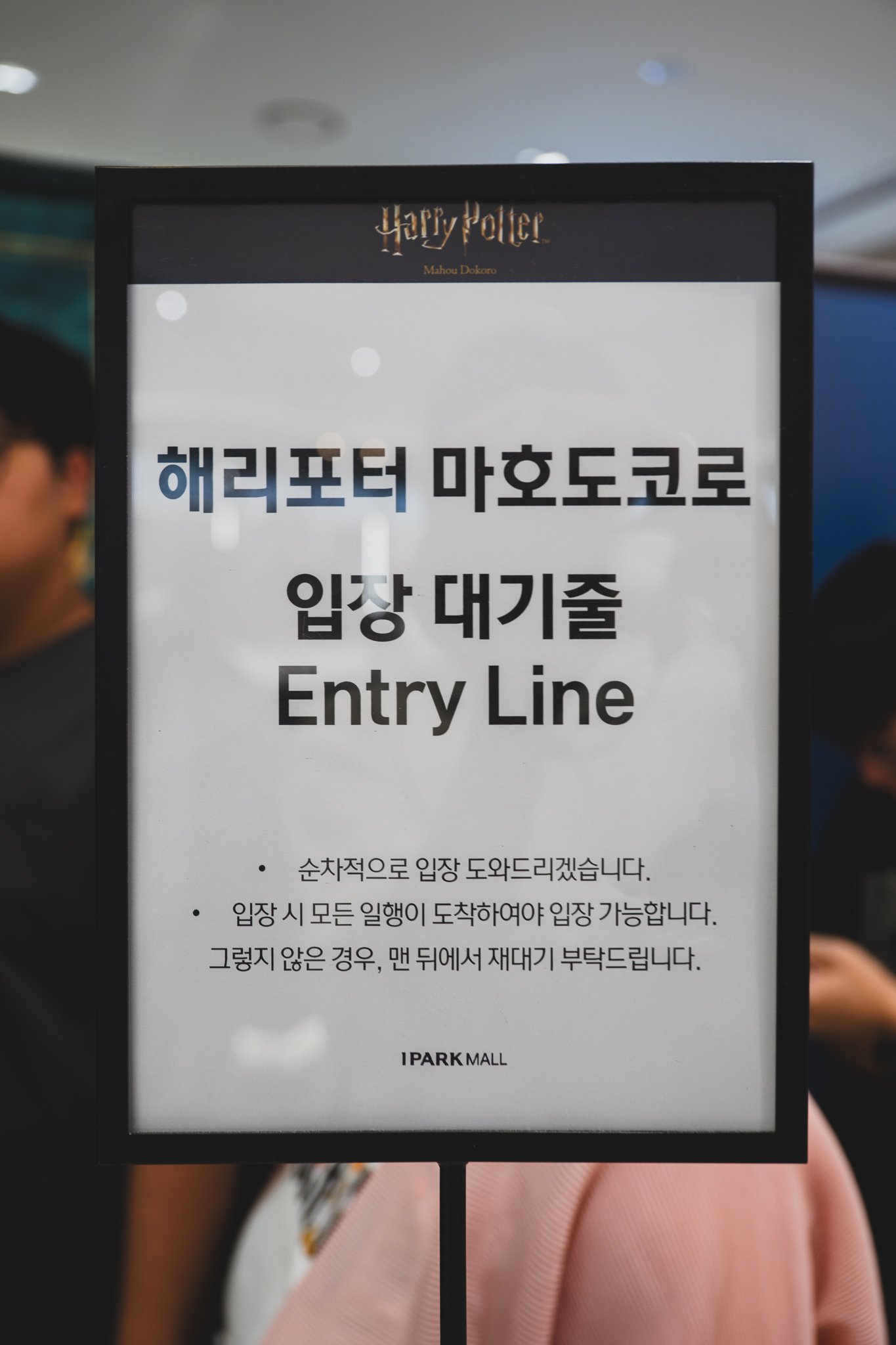 A queue signage board reading "Harry Potter Mahodokoro Entry Line," with instructions for sequential entry and a note that groups must be fully assembled before entering or go to the back of the line
