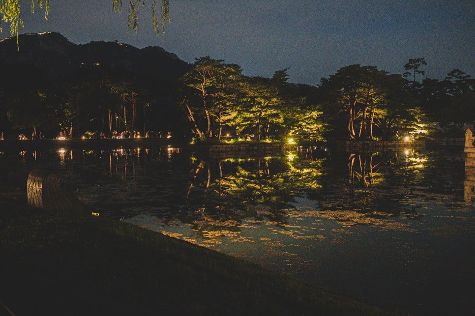 Trees along the edge of the pond reflected on the still water surface at night