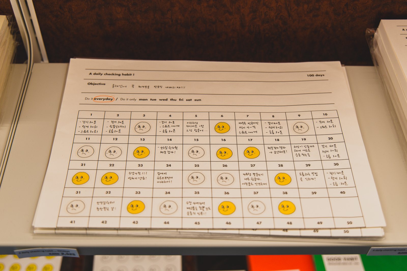 A "100-day habit checklist" sample, filled in with actual handwritten entries and sticker check marks