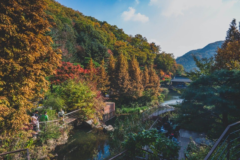 View from a bridge overlooking a pond, hanok rooftops, and autumn foliage