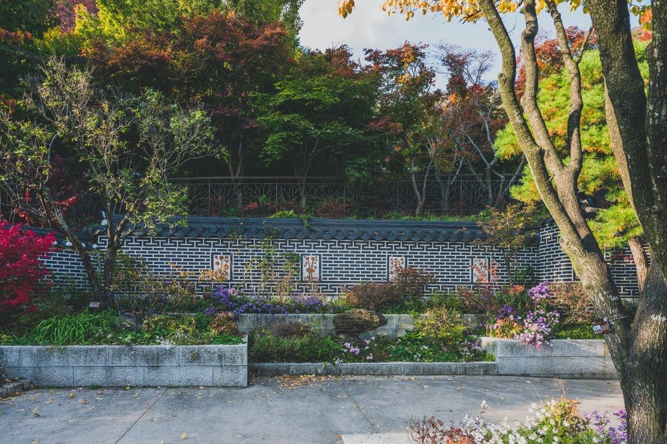 Traditional Korean patterned wall along a garden path, with flowers in bloom