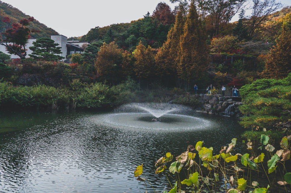 Mandarin duck pond with a fountain surrounded by autumn-colored trees