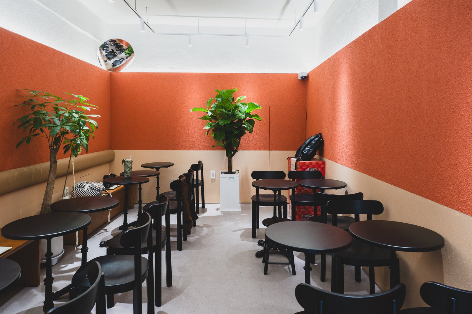 Interior seating area finished in orange and beige tones, with round wooden tables and potted plants