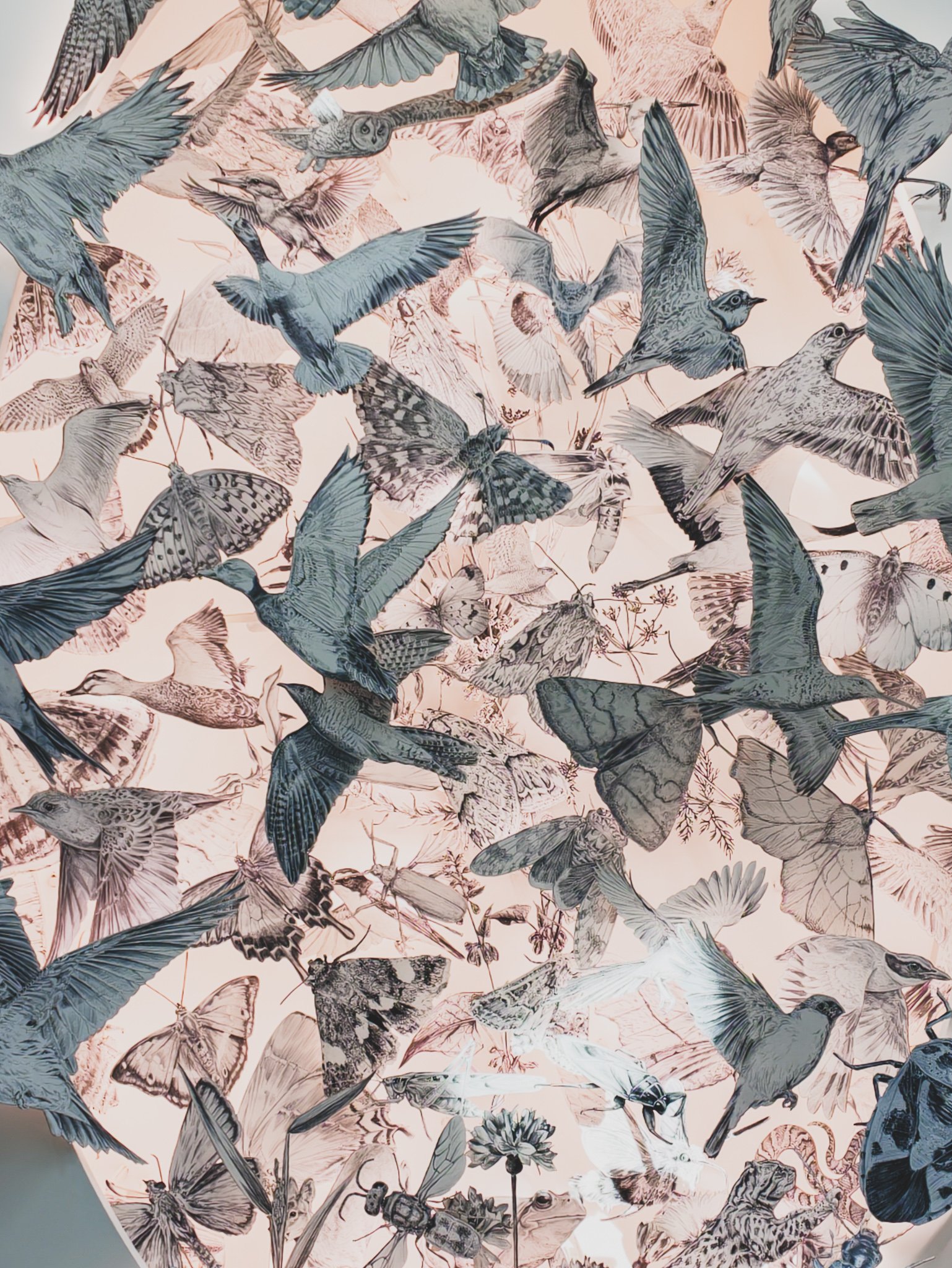 Large-scale wall installation of birds and insects drawn inside a fingerprint-shaped silhouette, titled COME HOME AGAIN