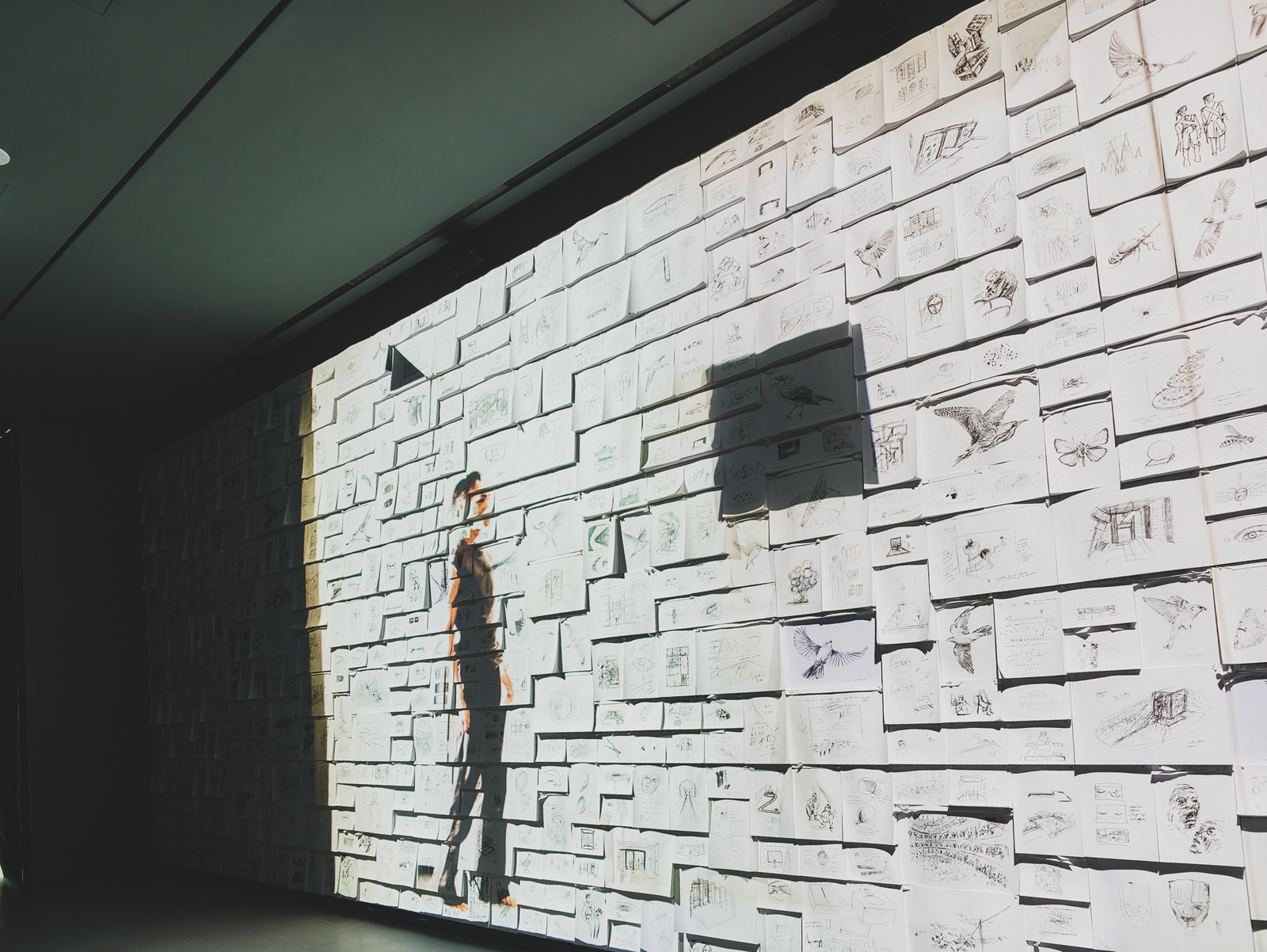 Wall covered in hundreds of sketchbook pages with a dancer's video projected across it, visitors' shadows overlapping