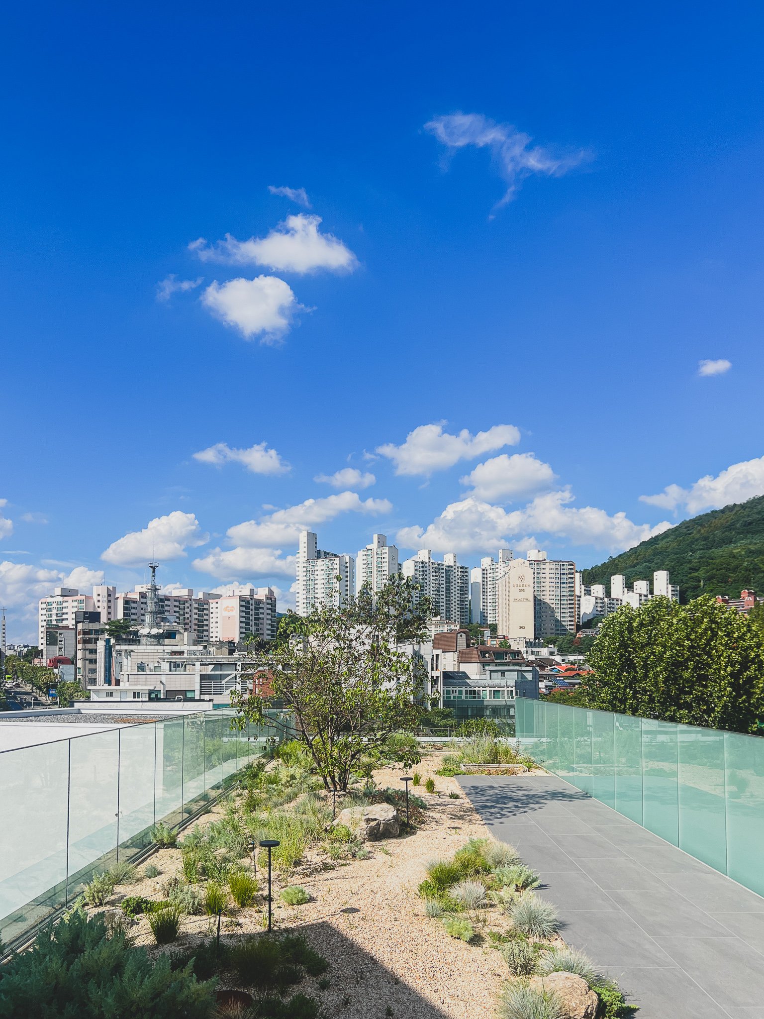 View of Yeonhui-dong rooftop and hillside from the museum's rooftop garden, blue sky against the museum's white cube exterior