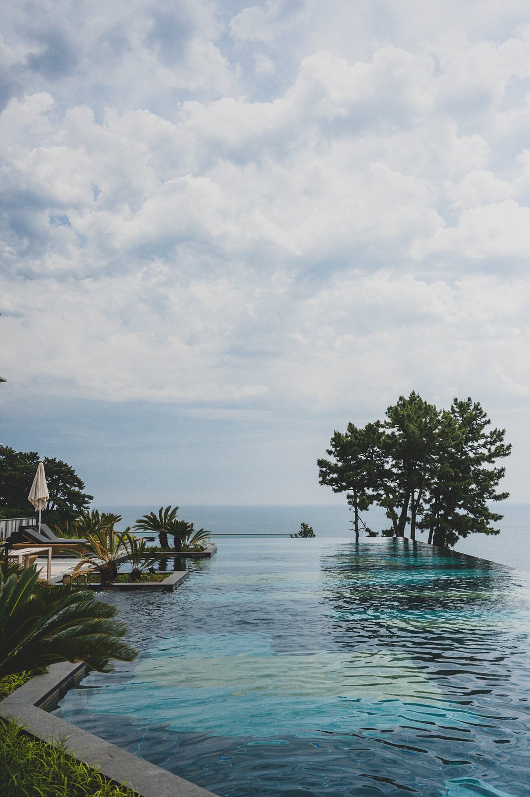 The outdoor infinity pool at JW Marriott Jeju Resort & Spa, with the coastline and pine trees visible at the horizon